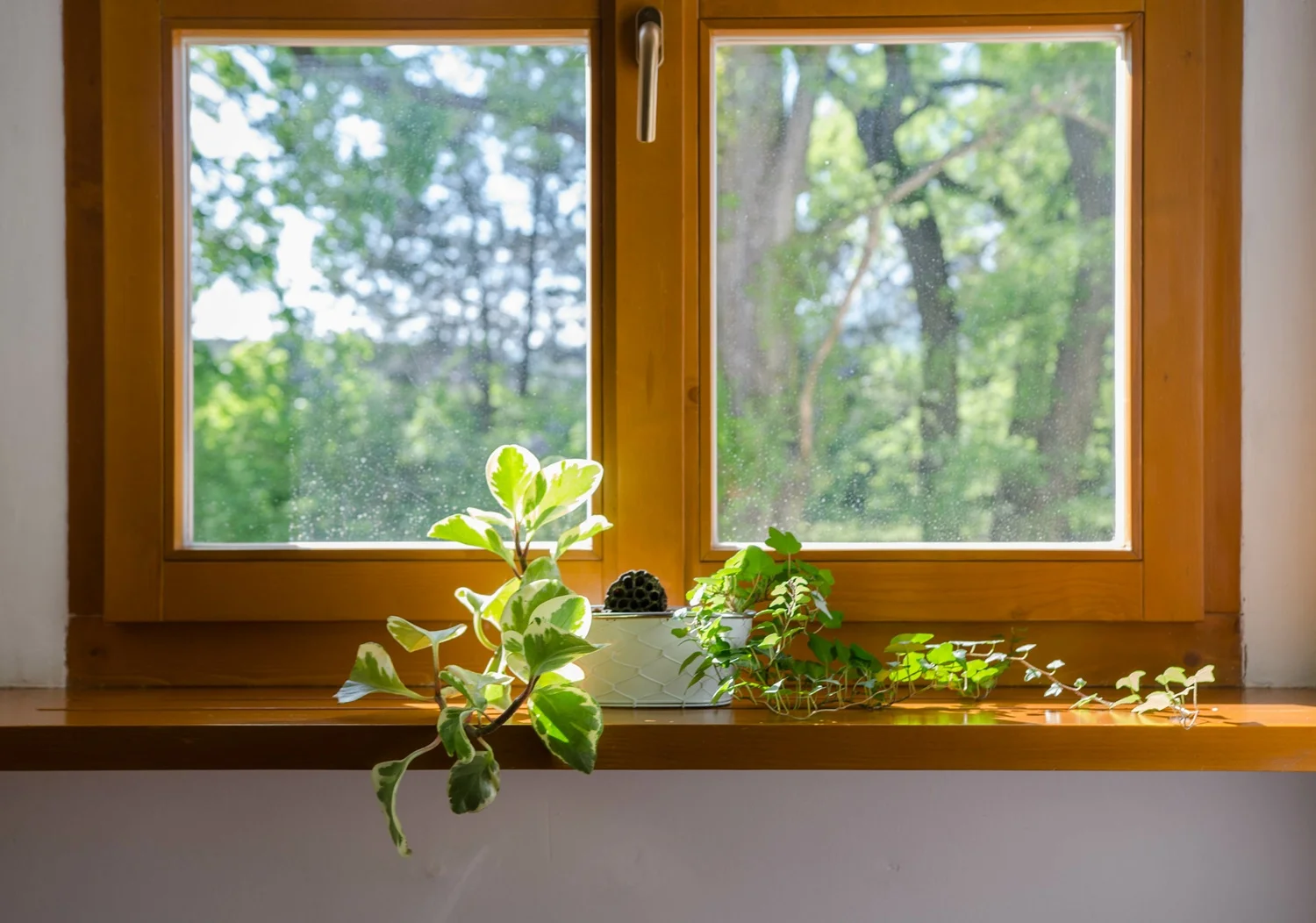 bespoke windows London custom-designed for luxury properties